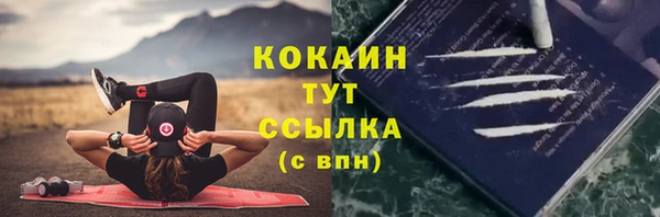 гашик Бронницы