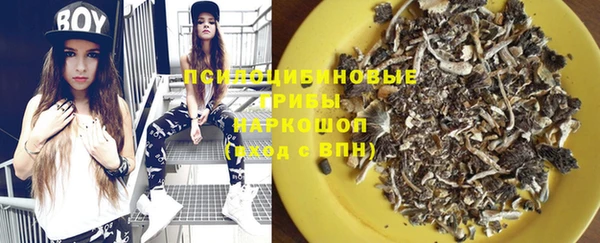 гашик Бронницы