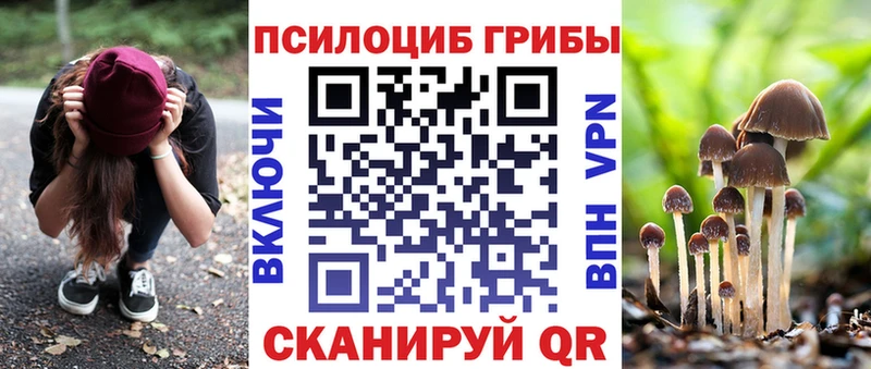 Галлюциногенные грибы Cubensis  купить  сайты  Монино 